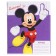 Notebook in a cage 12 sheets, 5 types of mix, cover coated paper, Mickey Mouse