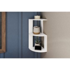 Carcainer -mounted and hinged shelf Leo No. 3, 250x250x550, white