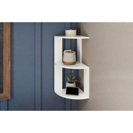 Carcainer -mounted and hinged shelf Leo No. 3, 250x250x550, white