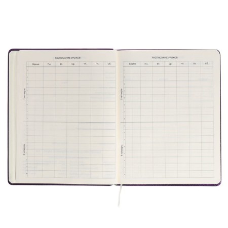 Universal diary for grade 1-11 Foxy, hard cover, artificial leather, foam rubber, lies, 80 g/m2-4