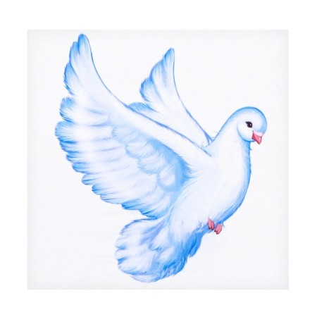 Set of prayers "pigeons" 5 pcs, 9.5 x 9.5 cm-2