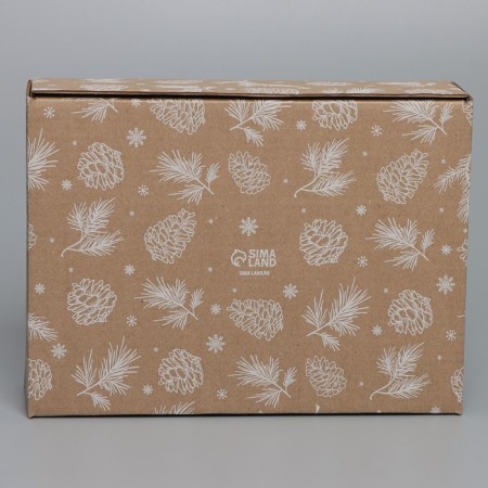 Box the team "bumps", brown, 27 x 21 x 9 cm, new year-5