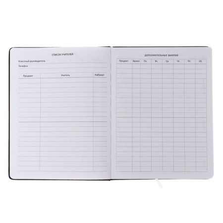 Universal diary for grade 1-11 Unique, hard cover, artificial leather, foam rubber, lies, 80 g/m2-5