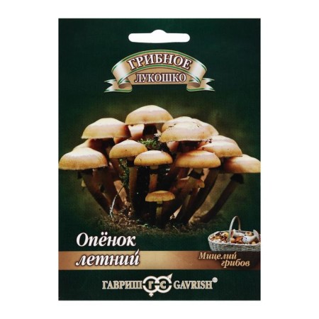 Seeds of mycelium "Open", summer on a tree stick, 12 pcs.