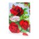 Postcard "Congratulations!" red roses, butterfly, glitter, a4