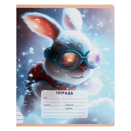 Notebook 12 sheets in the "Fluffy Friends" line, the cover coated cardboard, the offset unit, mix-12
