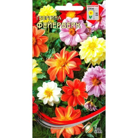 Georgin's flowers "fireworks" House of seeds, o, 12 pcs