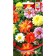 Georgin's flowers "fireworks" House of seeds, o, 12 pcs