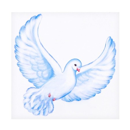 Set of prayers "pigeons" 5 pcs, 9.5 x 9.5 cm-1