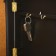 Key "Wolves" wenge 26x31x4.5 cm mix