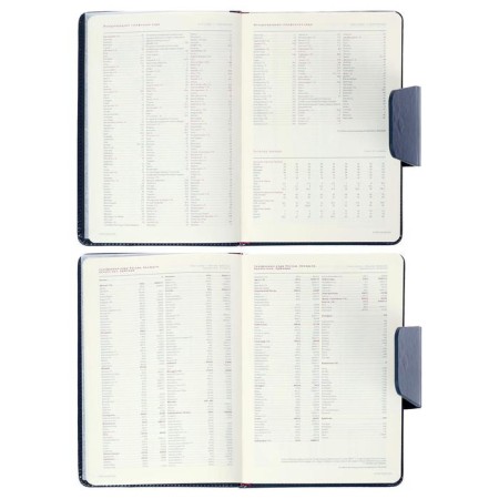 Deliciper of Leduced A5, 160 Prestige sheets, Cover Artificial leather, valve, Blue-4