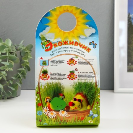 Growing gift Eco -Zhizhivchik "Cactus in a pot" mix-9