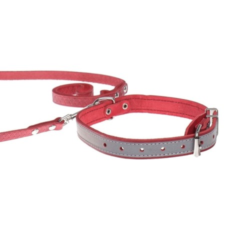 Set of collar (34-45x2 cm) reflective and leash (130x1 cm), red-5