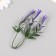 Artificial plant for creativity "Hippeastium" set 6 pcs Violet 11.5 cm