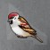 Thermalrotransfer "Sparrow", 15.5 x 13.5 cm, set of 10 pcs.