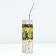 Fruit grapes "Arkady", tube, 1 pc, spring 2024