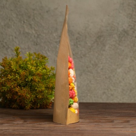 Zip-Lock package Craft with a transparent wall 18 x 26 + 4 cm-2