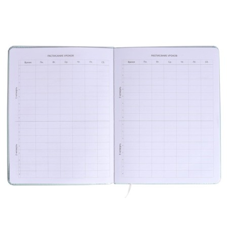 Universal Diary 1-11 class Hello Cutie. Rabbit, firm covering with foam rubber, artificial leather, liesse, block 80 g/m2-4