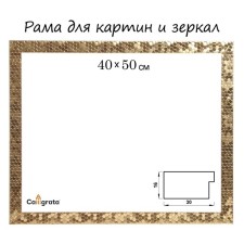 Frame for paintings (mirrors) 40 x 50 x 2.7 cm, plastic, calligrata 651618, gold