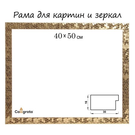 Frame for paintings (mirrors) 40 x 50 x 2.7 cm, plastic, calligrata 651618, gold