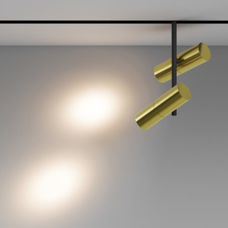 Track lamp Technical TR005-2x12W3K-BBS, LED, 24 W, 193x160x362 mm, 1517 lm, 3000k, black, brass-3