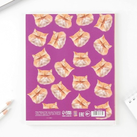 An objective note 48 sheets, A5, notifications, from reference. mat. “September 1: Geometry”, cover coated cardboard 230 gr., Inner block in a cage 80 gr., White is 96%-2
