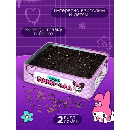 Euryki set for experiments my mimni garden (Kuromi)-2