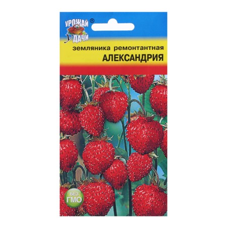 Strawberries "Alexandria" rem., 0.04 gr