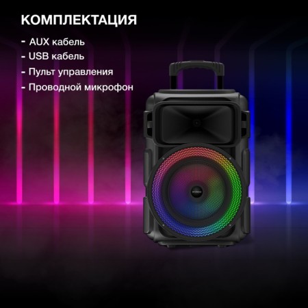 Hyundai H-MC1298 Black 17W FM USB BT Micro SD-4
