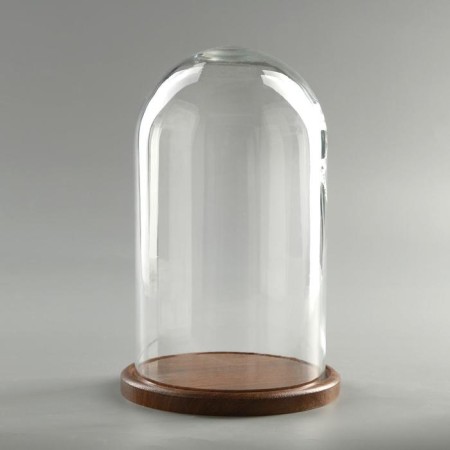 Glass dome -slosh on a wooden stand "Vincent - 1", 25x15 cm, brown