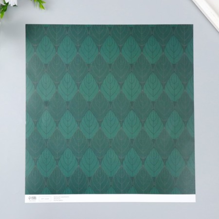 Scrapbooking paper bilateral "monsters and leaves" density 180 g 30.5x32 cm-4