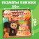 Magnetic book "Birthday Genes", Cheburashka