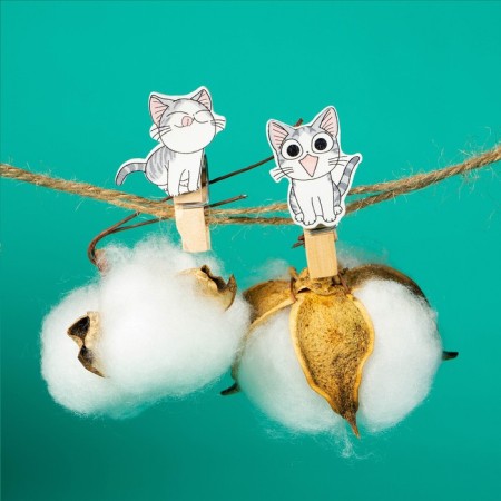Set for photos and decor "kittens", in a set of clothespins 10 pcs., Rope 100 cm-6