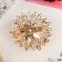 Brooch "Butterfly" on the flower, the color is white-red in gold