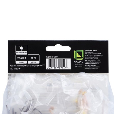 Delphinium High Highlander Blubertry Pai, Rr. I, 1 pc, spring 2025-2