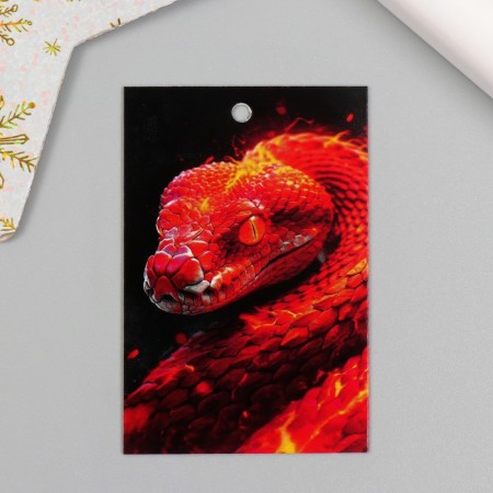 Cardboard "Fiery Snake" set 10 pcs (5 types) 4x6 cm-2