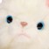 Soft toy "Cat Turkish Angora", 20 cm