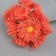 Decorative flower for creativity "Chamomile" Orange