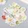 Stickers for creativity "Sukkualent" set 45 pcs 4.4x4.4x1.1 cm