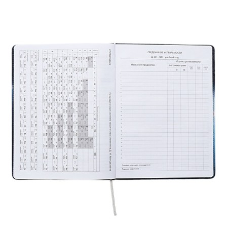 Universal diary for grade 1-11 Football Time, solid cover, artificial leather, foam rubber, liesse, 80 g/m2-12