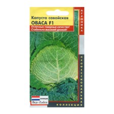Savoy cabbage 