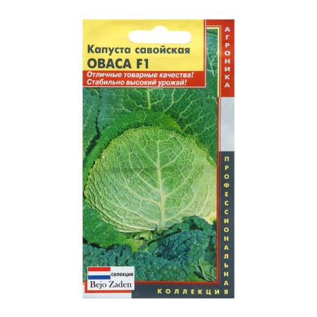 Savoy cabbage "Ovasa", F1, 10 pcs