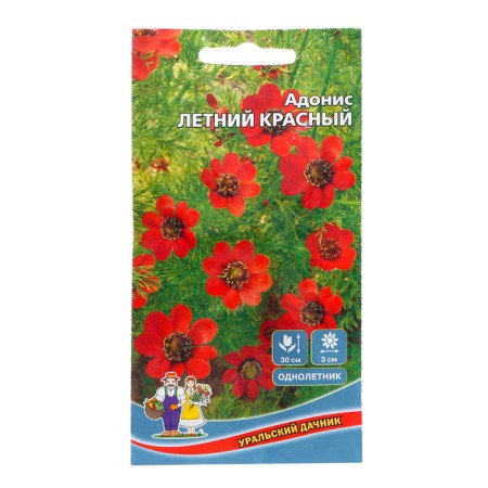 Seeds of flowers Adonis "Summer Red", 0, 1 g