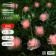 Garland “thread” 4.5 m with nozzles “roses”, IP44, dark thread, 30 LED, glow red, 2 modes, solar battery