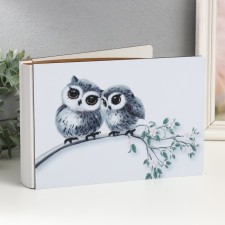 Photo album in 52 photos 15x20 cm 
