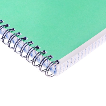 Notebook on the crest of Calligrata "Here is a cat", a4 80 sheets in a cage, cover coated cardboard, offset, green-2