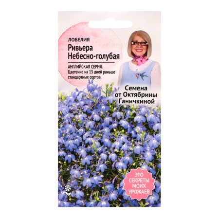 Flowers of Lobelia flowers "Sky-blue Riviera", 10 pcs