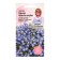 Flowers of Lobelia flowers "Sky-blue Riviera", 10 pcs