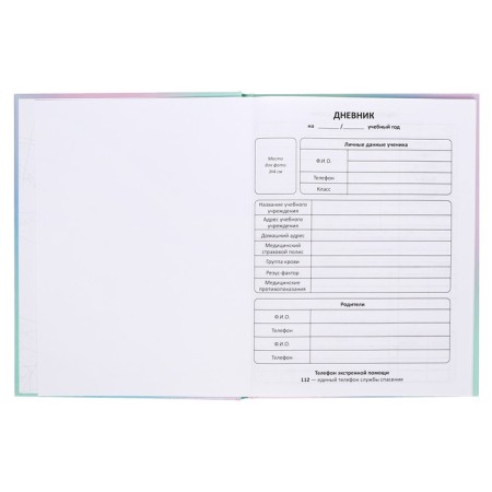 Diary solid cover 1-11 grade 48 sheets, "cat-butterfly1", cardboard cover 7BC, glossy lamination, cheat sheet-3