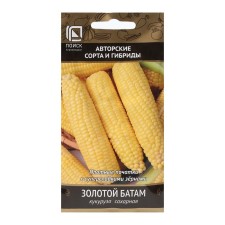 Sugar corn seeds 